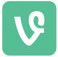 Vine
